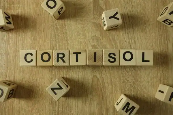 The Hidden Connection: How Stress Shapes Your Fitness and Body Composition 2 Image saying "Cortisol" and how stress Newmarket impacts your wellbeing and bodies shape